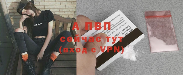 прущие грибы Карталы