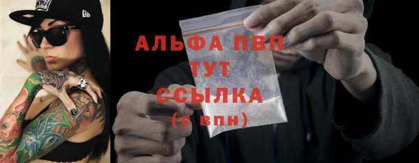 амф Каменка
