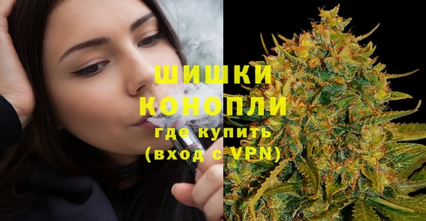 прущие грибы Карталы