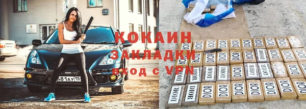 прущие грибы Карталы