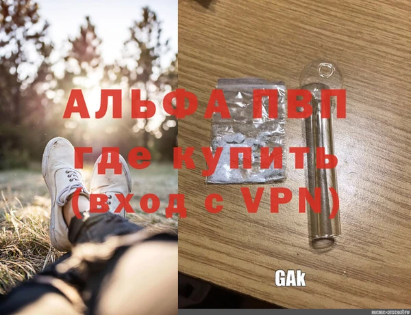 прущие грибы Карталы