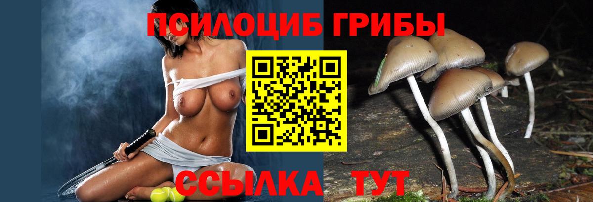 Галлюциногенные грибы прущие грибы Ханты-Мансийск